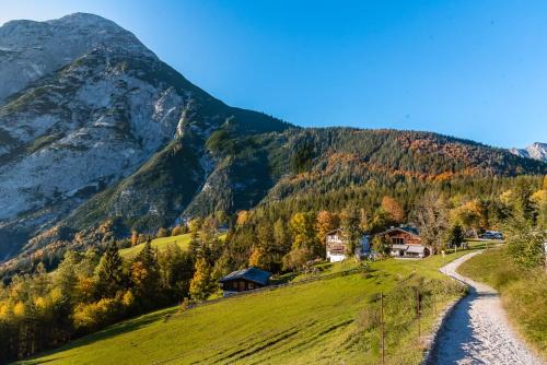 Buchen Apartment | Ropferhof: Pet-Friendly Retreat with Spa and Hot Tub