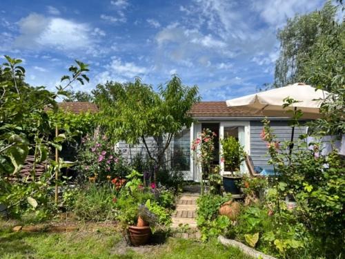 Schoorldam Resort | Rosa's Sunny Cottage Near Dunes, Forest & Beach - 9/10 Rating