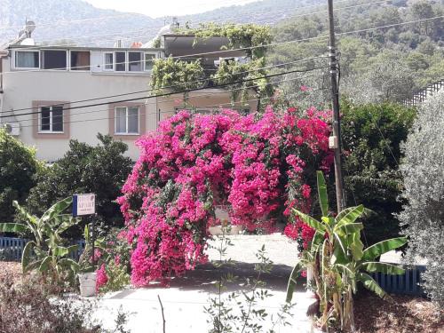 Sarigerme Apartment | Budget-Friendly Rose Apart: Child-Friendly & Highly Rated