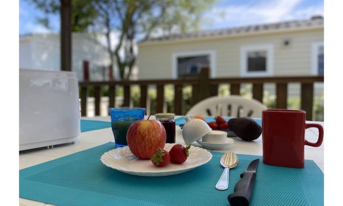 Ronce-les-Bains House | Cozy Mobilhome with Ocean View at La Pignade, Ronce les Bains