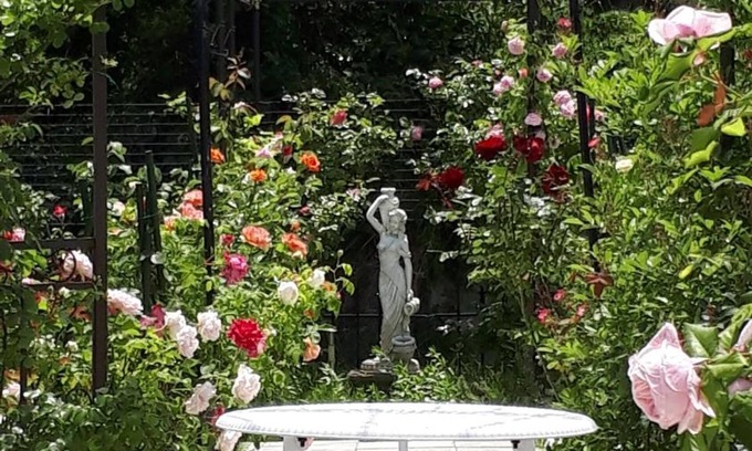 Sado House | Budget-Friendly ROSENCAT: Guest Rated 9.8 with Spa & Breakfast