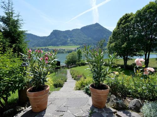 Kufstein Apartment | Experience Rosenhof am See: Pet-Friendly Retreat with Pool