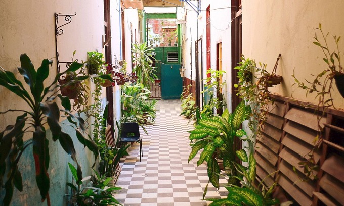 Old Havana House | Ocean View Retreat at RosMery's Apt - Guest Rated 9.4/10