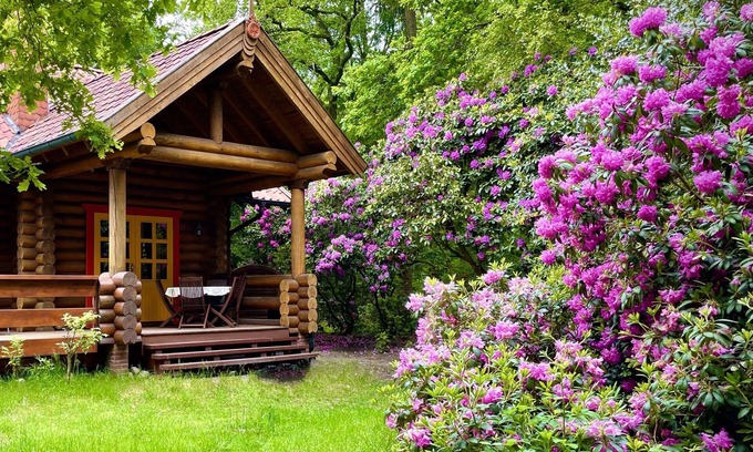 Mollberg House | Experience Comfort at Haus am Waldsee with Ocean View