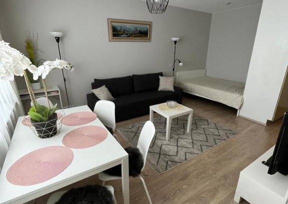 Rovaniemi Apartment | Cozy Rovaniemi Studio 32: Pet & Child Friendly Stay