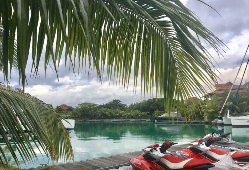 Mahe Island Apartment | Royal house with 4 bedrooms and a luxury swimming pool