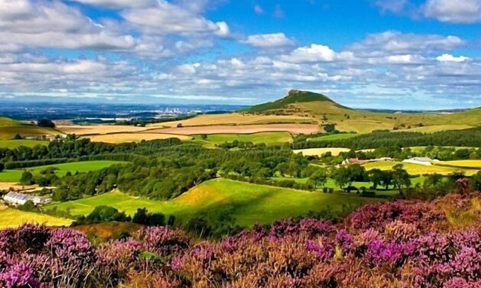 Great Ayton Bed & Breakfast | Elegant Royal Oak Hotel: Rated 9.4 with Family-Friendly Perks