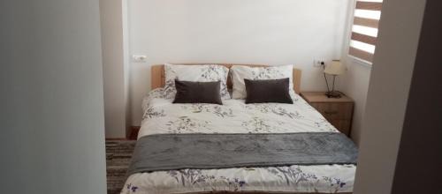 Zlatibor Apartment | Ruža Vetrova A3