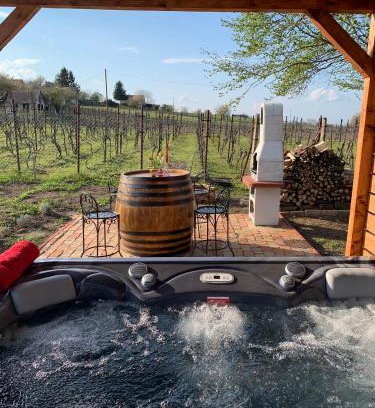 Doba Apartment | Discover Rubin: Guest Rated 9.8, Pet Friendly & Hot Tub