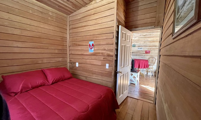 Southern Cabin | Rudy’s Roost Cabin: Pet-Friendly Escape near Route 16