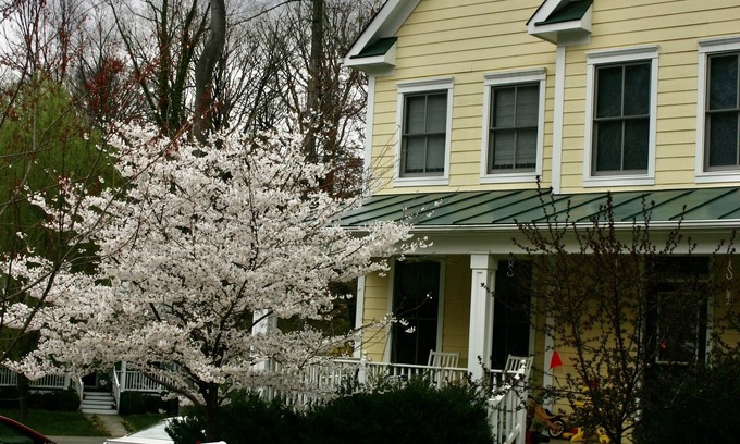Barracks Rugby House | Convenient Rugby Area Home Near UVa Graduation Events