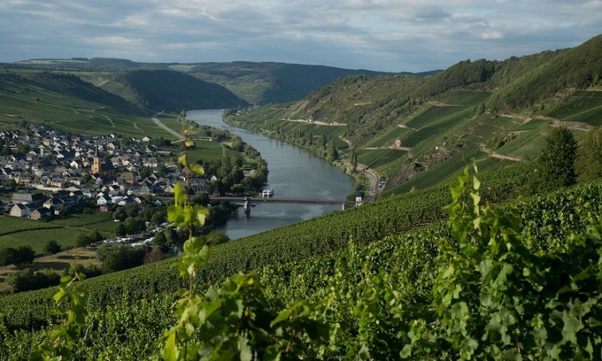 Trittenheim House | Idyllic Retreat by the Mosel with Sauna & Pool Access