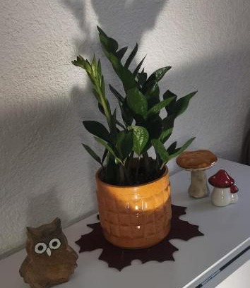 Seligenstadt Apartment | Serene Retreat Near Fields with 9/10 Guest Rating