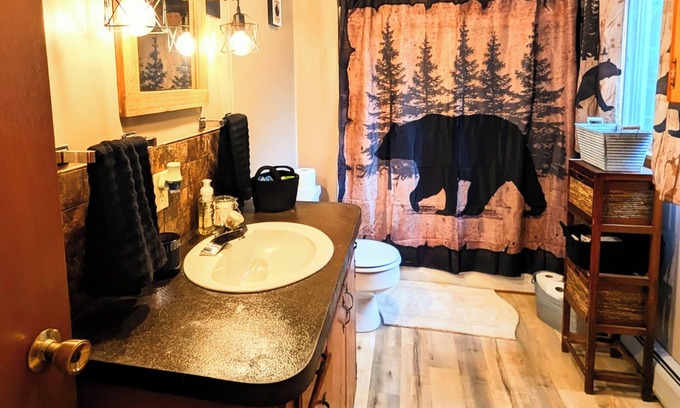 Waterford House | Rustic 3 Bedroom cottage in the Western Maine Mountains