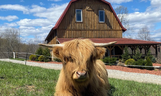 McArthur House | Experience Unique Barn Retreat at Dogwood Ridge Farms