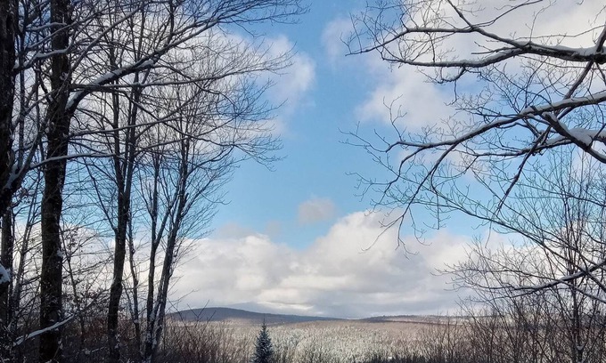 Notre-Dame-Des-Bois Bed & Breakfast | Rustic Cabin