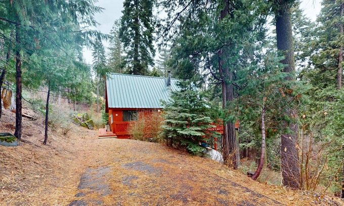Dogwood Mountain House | Rustic Forest Cabin with WiFi & Pet-Friendly Amenities