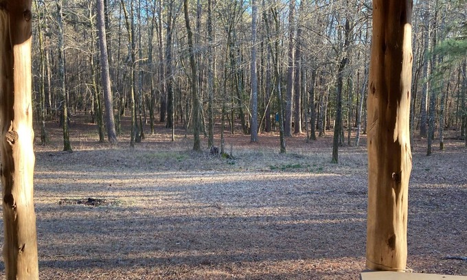 Amity Cabin | Cozy Cabin Retreat on 60 Acres of Serene Woodlands