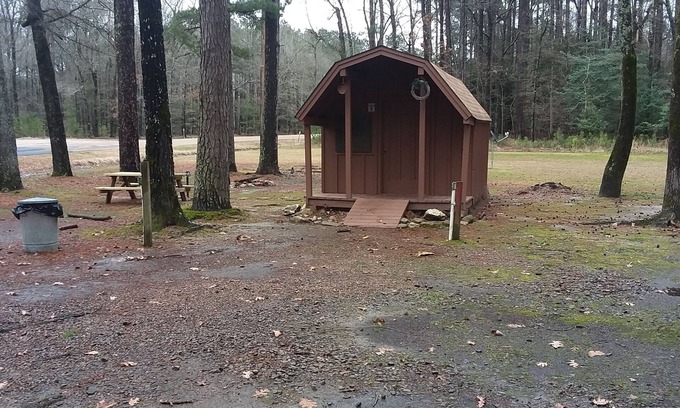Murfreesboro Cabin | Budget-Friendly Rustic Cabin with Breakfast & Kitchen Access