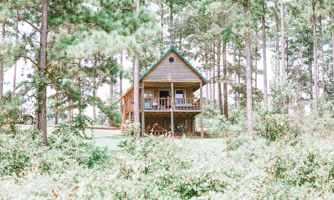 Lucedale Cabin | Cozy Cabin Retreat with Lake Views and Pet-Friendly Perks