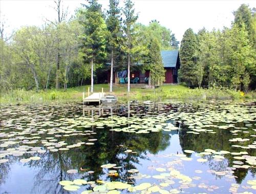 Manistee House | Rustic Cabin Rental on a Wildlife Sanctuary in Manistee, Michigan