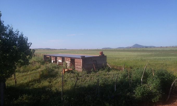 Cuauhtemoc Cabin | Relaxing Cabin Nestled in Nature – Pet and Child Friendly