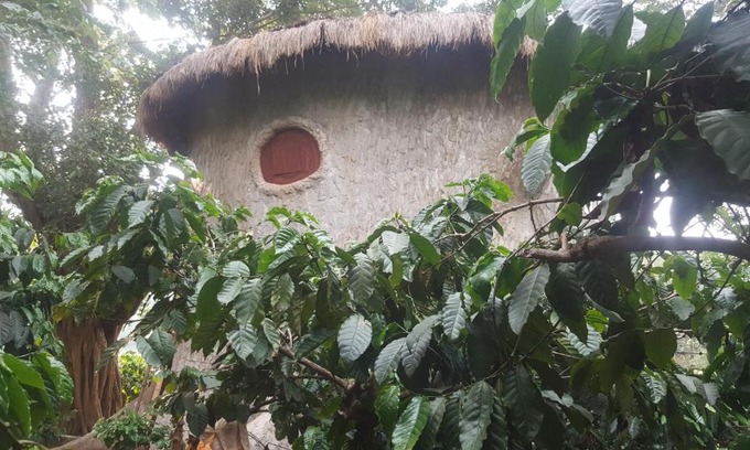 Kaimane Apartment | Cozy Treetop Suite at The Roots, Wayanad - Breakfast Included
