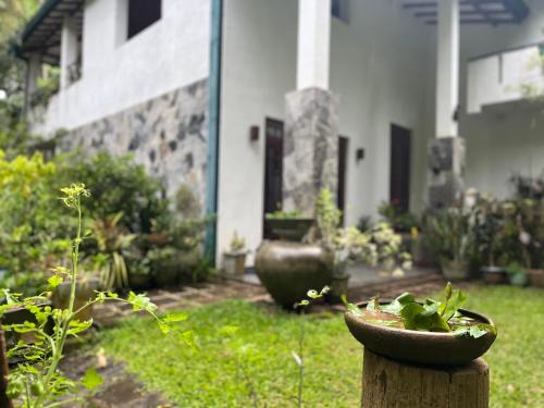 Sirimalwatta House | Charming Rustic Mahaweli: Rated 9.4 With Family-Friendly Amenities