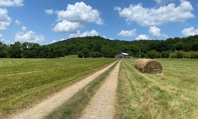 Sumner County Other | Rustic Tennessee Farmhouse Surrounded by 100 Acres