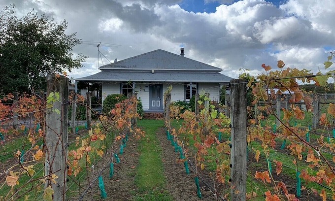 Martinborough Villa | Relaxing Villa Near Vineyards with Pool and Pet-Friendly Options