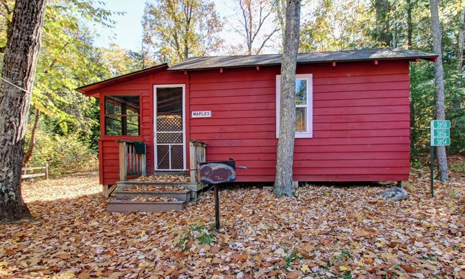 Lac du Flambeau Cabin | Cozy Wisconsin Cabin with Pet-Friendly Amenities