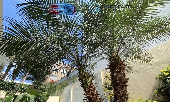 San Isidro Villa | Rustical Place in Historic Forest Olivar