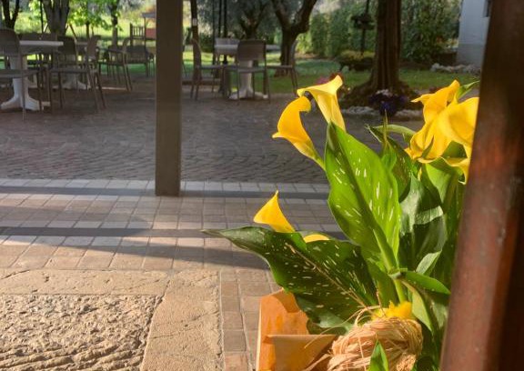Polpenazze del Garda Bed & Breakfast | Pet-Friendly Retreat at Rustico di Benellini Angela