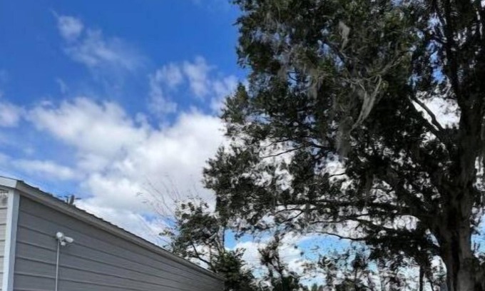 Ellenton RV Rental | Kid-Friendly RV/Camper Site with Full Hookups Awaiting You