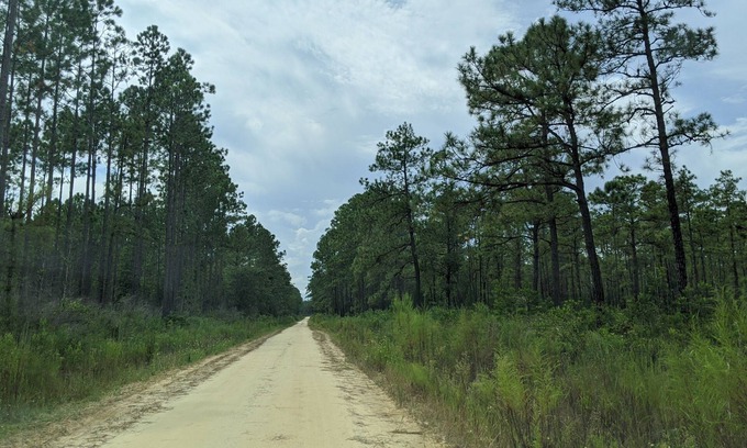 Edgar House | Family-Friendly RV Adventures with Scenic Riding Trails