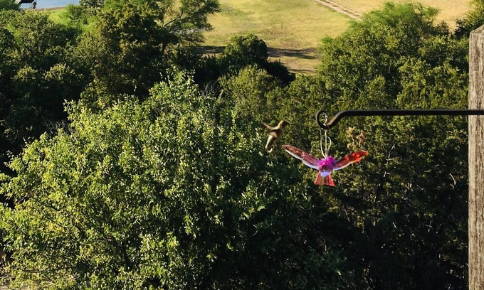 Oatmeal House | RV GLAMPING DIRECTLY ON LAKE TRAVIS- NEAR HIDDEN FALLS ADV. PARK (2021 RV)