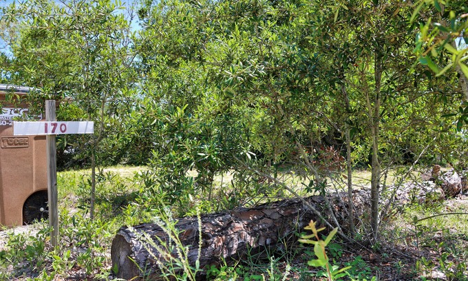 Indian Pass RV Rental | Cozy RV Lot at Indian Pass, Steps from the Beach