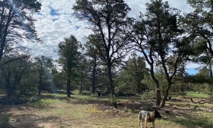 Quemado RV Rental | Discover the RV Mountain Getaway: Family-Friendly Retreat
