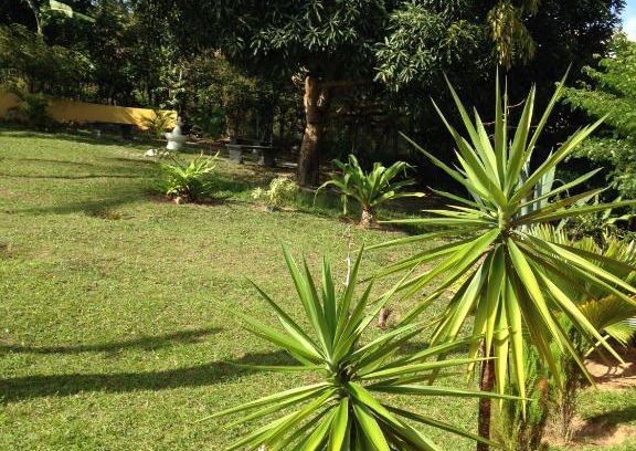 Arembepe House | Discover Sítio FWG: Pet-Friendly & Family-Oriented Stays