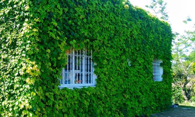 Sapiranga House | Top-Rated Sítio Sapiranga: Pet-Friendly with Pool Access