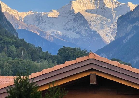 Wilderswil Apartment | Pet-Friendly S&P Mountain View Apartment with 9.6/10 Rating