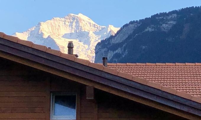 Wilderswil Apartment | Pet-Friendly S&P Mountain View Apartment - Rated 9.2/10