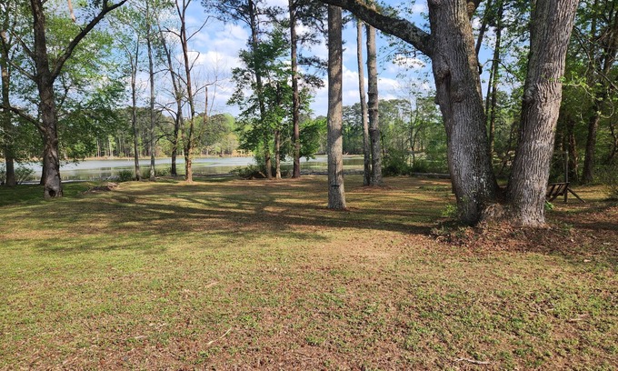Scottsboro House | Pet Friendly Lakeside Home in Historic Scottsboro - 10/10!