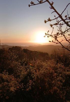 Ilbono Apartment | Sa Mesaluna Naturhouse