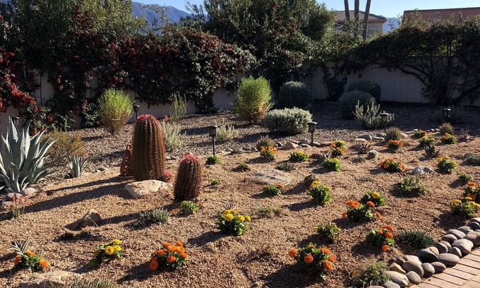 Saddlebrooke House | Exceptional Saddlebrooke Catalina View Casa with Pool