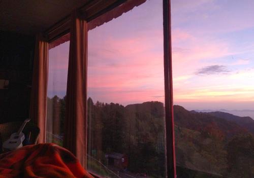 Kanatal Resort | Discover Sadhoo Vibes Resort: Pet-Friendly Family Retreat