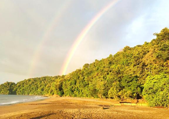 Nuqui Hotel | Paradise Awaits at Safio: Beachfront Bliss and More