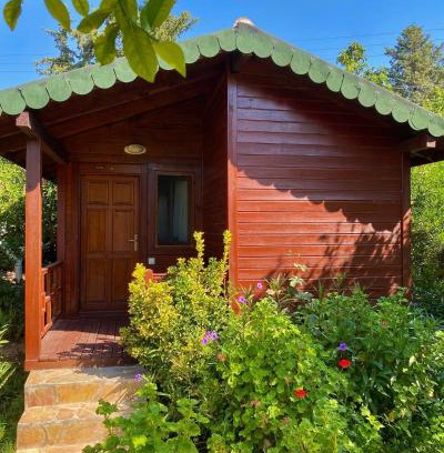 Cirali Bed & Breakfast | Oceanfront Safir Pansiyon: Guest Rated 9.3/10 Escape