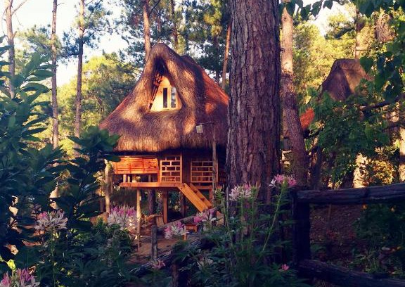 Sagada House | Discover Sagada Heritage Village: Pet Friendly & Wheelchair Access