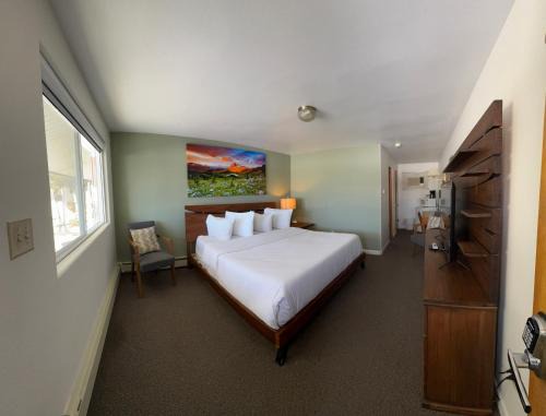 Newcastle Hotel | Budget-Friendly Sage Motel with Family and Accessibility Perks